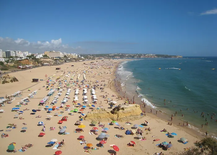 Rocha Sunny Apartment
